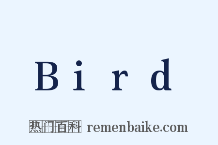 Bird是什么意思的图片